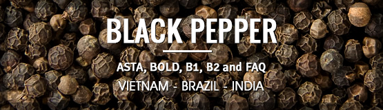 black pepper from vietnam
