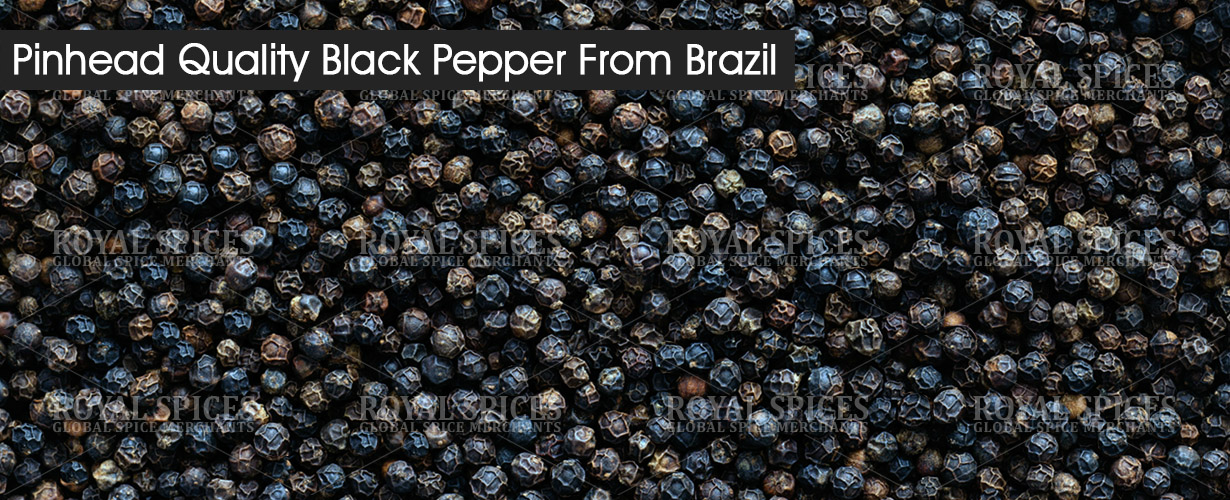 Pinhead Quality Black Pepper From Brazil