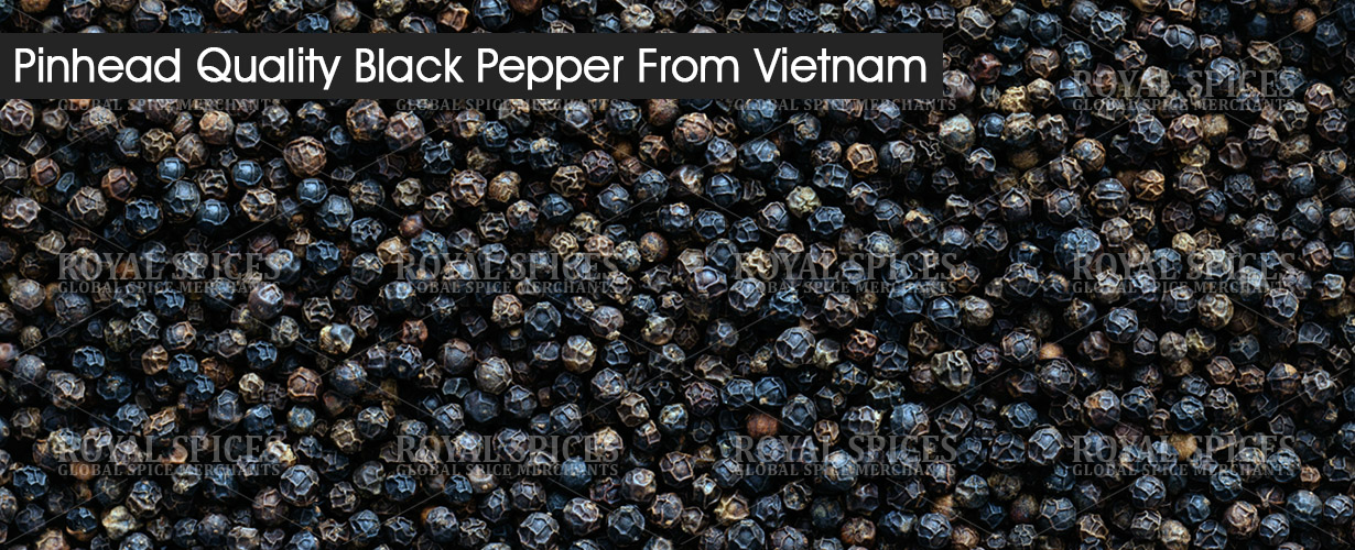 Pinhead Quality Black Pepper from Vietnam