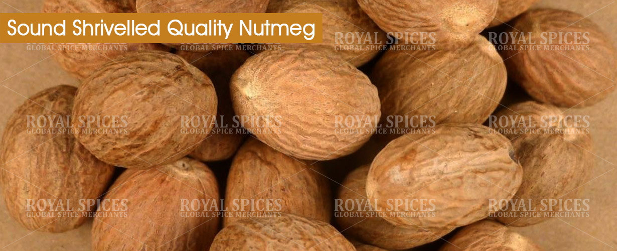 sound-shrivelled-quality-nutmeg