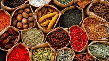 spices-whatsapp-group