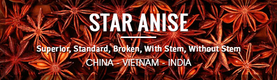 star anise from vietnam