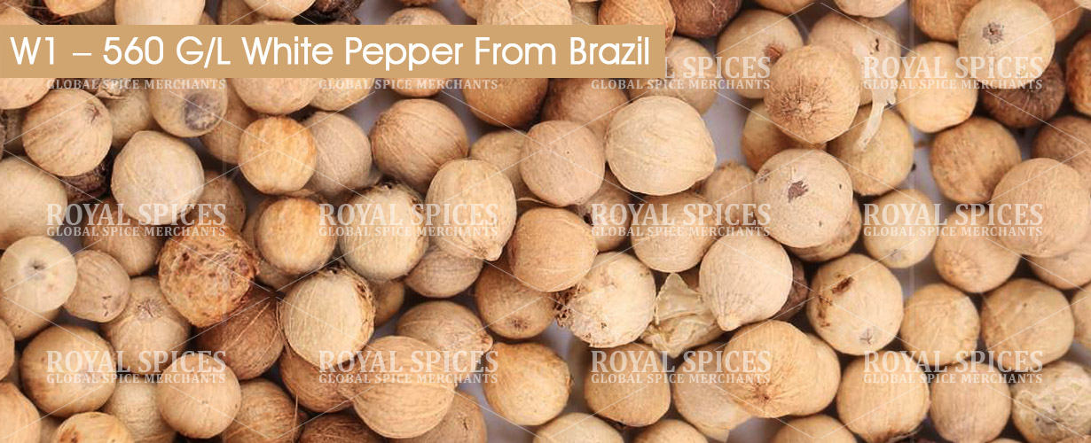 w1-560-gl-white-pepper-from-brazil
