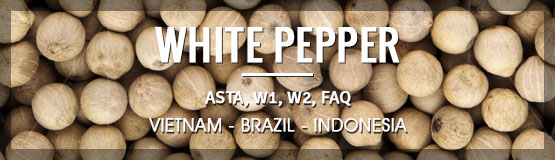 white pepper from vietnam